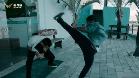 斗马打架视频,一场震撼人心的角斗场对决