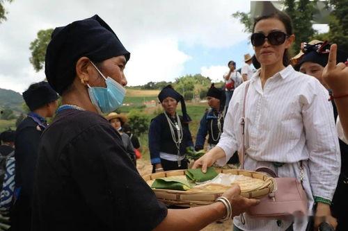 元江新闻视频,聚焦地方发展，展现多元魅力