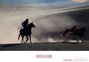 战马奔腾视频,激昂岁月，铁骑扬威