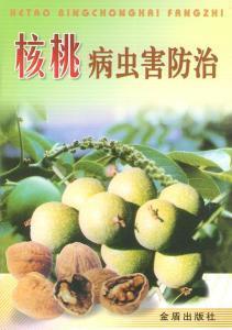 核桃病虫害防治视频,视频解析与实操技巧