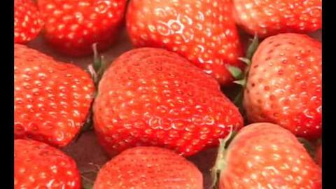 草莓在线视频,探寻甜蜜果实背后的故事与魅力
