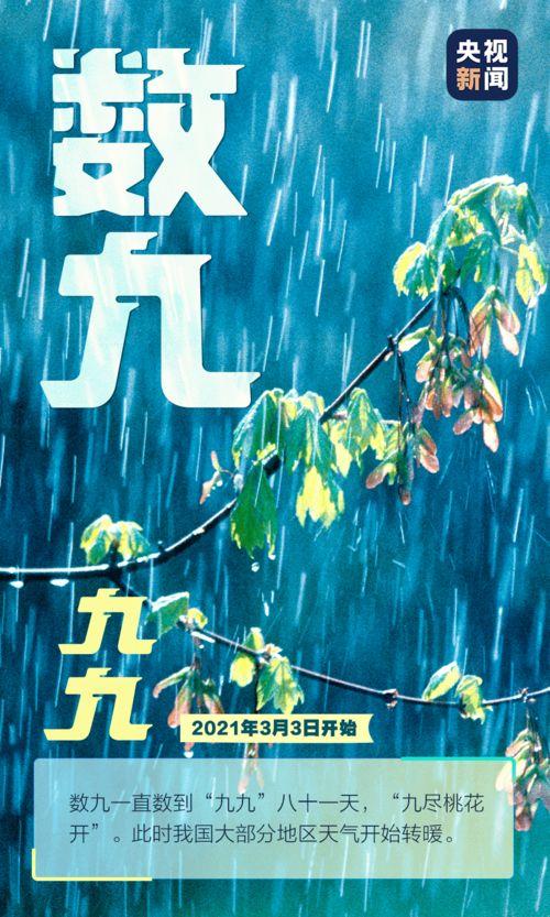 九九天视频,揭秘神秘九九天背后的传奇故事