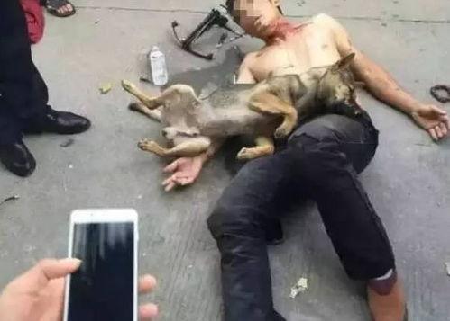 偷狗贼被打现场视频,惊心动魄！偷狗贼被打现场视频曝光