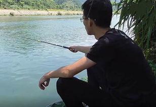 夏季野钓视频,跟随视频领略野钓魅力