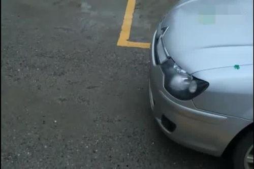 停车倒车视频,从视频中学到的停车智慧