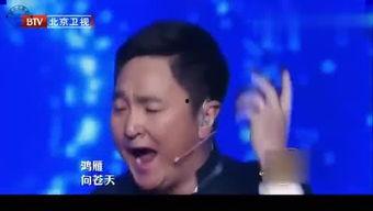 云飞鸿雁视频,探寻自然之美与人文情怀的视觉盛宴