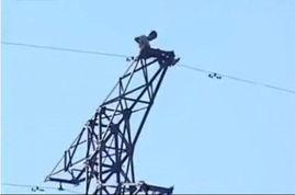 爬高压电塔的视频,揭秘爬高压电塔的惊险瞬间