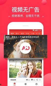 西瓜视频观看,揭秘热门视频背后的故事与魅力