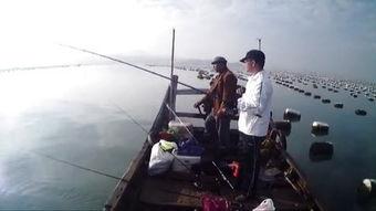 jm海钓视频,跟随JM海钓之旅,领略深海魅力