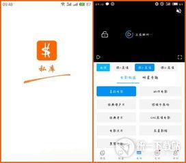 私库在线视频 播放