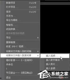 视频素材格式,揭秘视频素材格式背后的奥秘