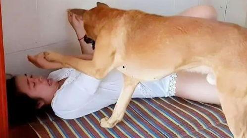 女人和狗做视频
