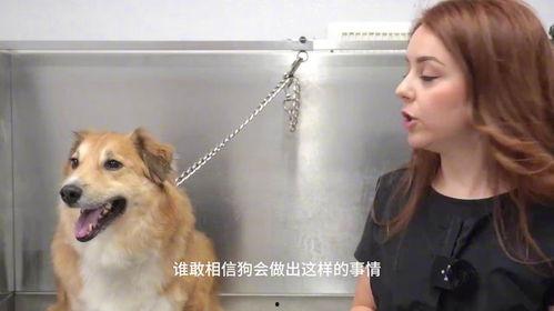 女人和狗做视频