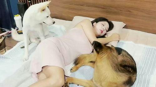 女人和狗做视频