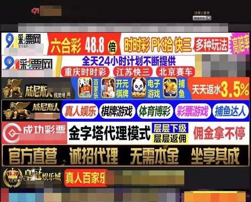 91b1视频